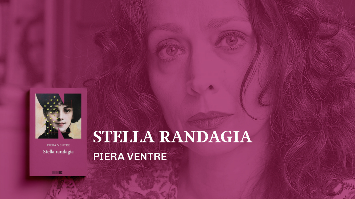 Focus Stella randagia Piera Ventre